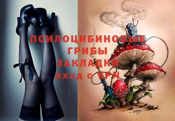 мдпв Абинск