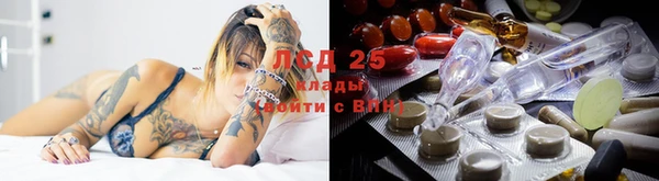 бошки Абаза