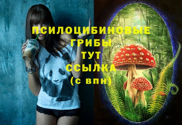 бошки Абаза