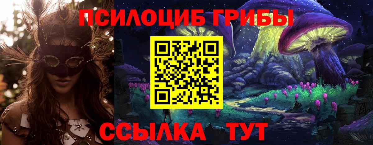 закладка  Псилоцибиновые грибы мухоморы  Ростов-на-Дону  Вход с VPN  Галлюциногенные грибы Magic Shrooms 