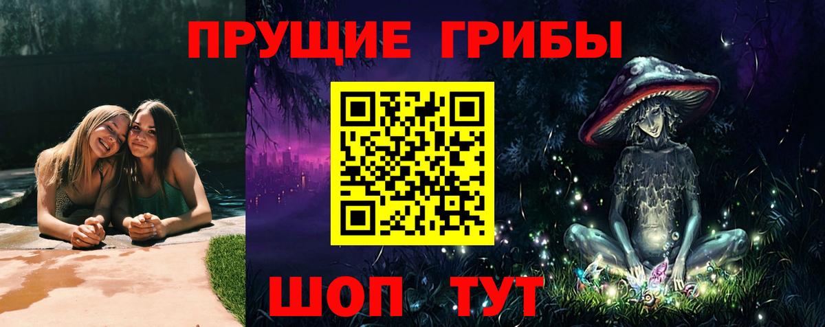 Галлюциногенные грибы прущие грибы Ростов-на-Дону